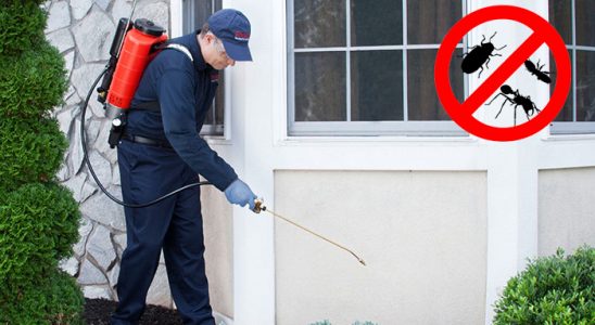 Olur Karınca İlaçlama böcek ilaçlama ve haşere kontrolü — ilaclama-tr.com